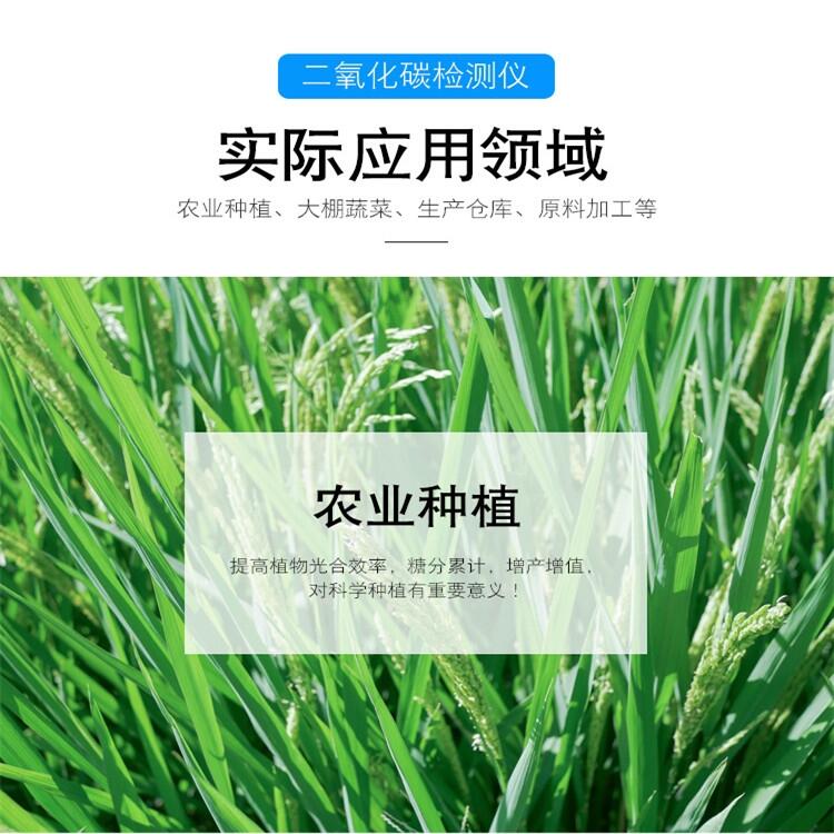 高分貝聲光co2檢測儀 發(fā)貨快