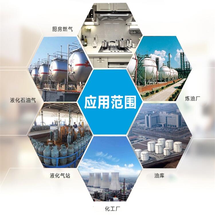 有毒，有害H2S探測(cè)器供應(yīng)